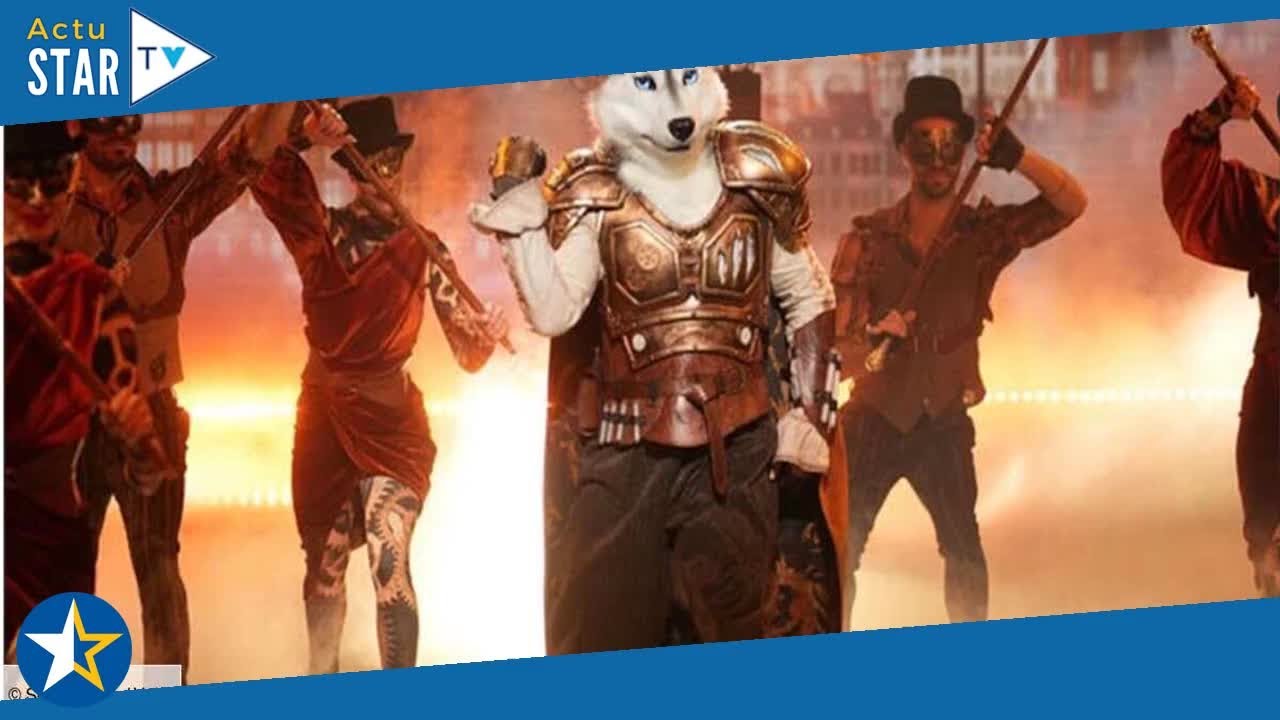 « Un fervent défenseur des animaux » le husky (Mask Singer 5) dévoile — free download