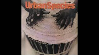 【90's UK GROUND BEAT 】URBAN SPECIES - Spiritual Love (1993)