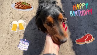 #18 весёлый праздник 🥳/ласковые псы🐶/ жарим стейки 🥩/ праздничный торт🎂/папина коллекция монет💸