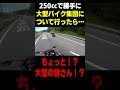 250ccで大型バイクの集団について行った結果… #バイク動画 #ランページモンキー