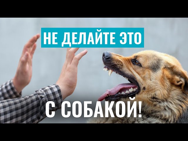 Обучение и поведенческая терапия