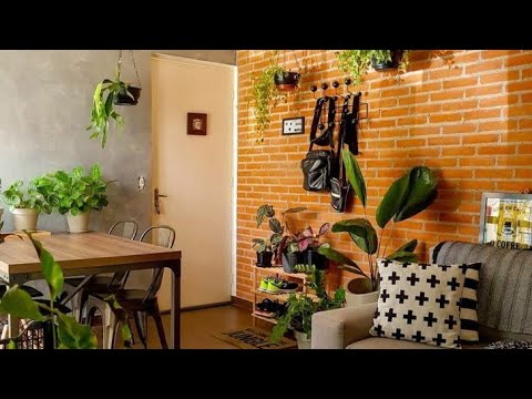Живые растения в интерьере, 100 идей для декора