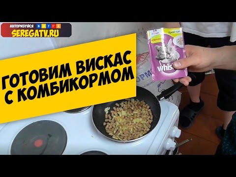 Прикормка рыбы кошачьим кормом Прикормка рыбы кошачьим кормом