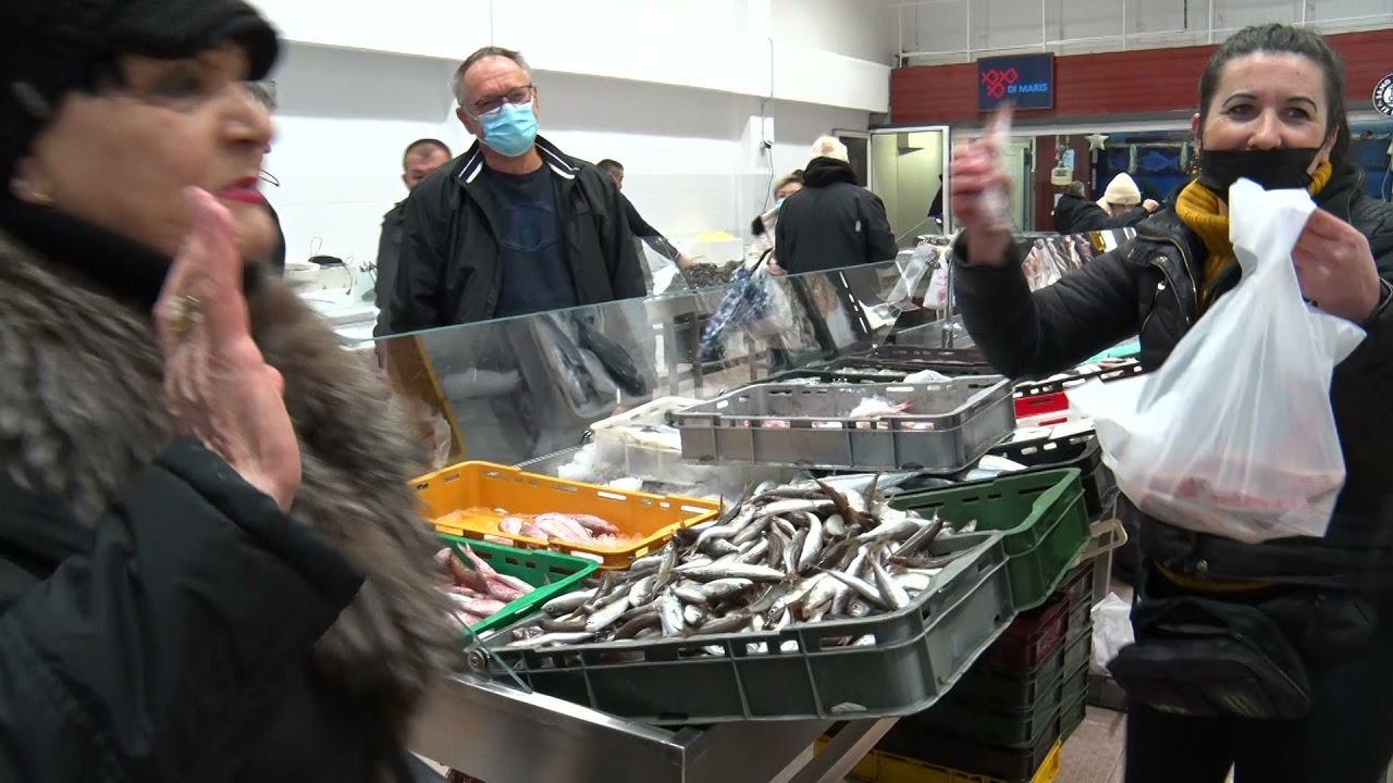 TRŽNICA ZADAR 10-12-2021