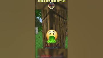 Minecraft, But My Controls Are Inverted! 😱