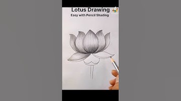 How To Draw Lotus Flower Easy #shorts #lotus #flowers #youtubeshorts #howtodraw #drawing #viral