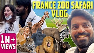 My First Ever France Thoiry Zoo Vlog | Mr Makapa