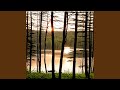 Nature's Solace in Peace