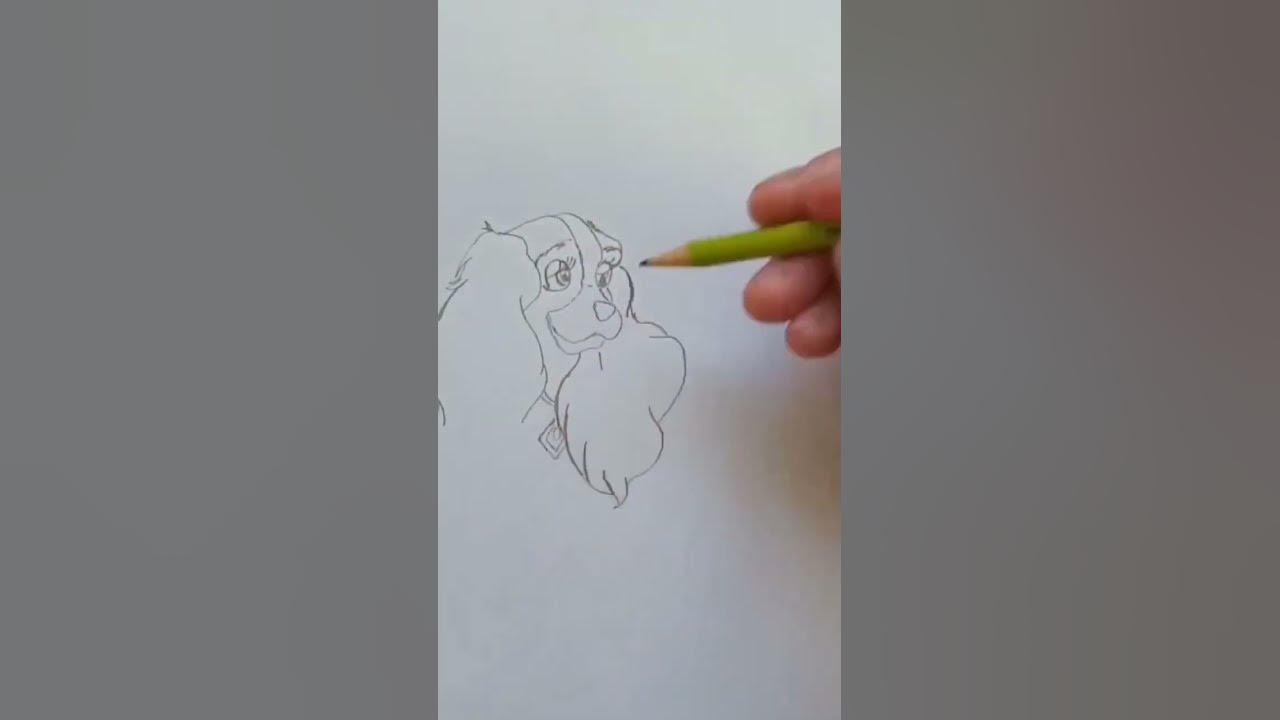 Desenhando a Lady da Dama e o Vagabundo da Disney Passo a Passo