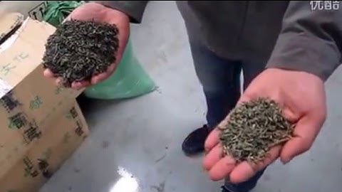 green tea color sorter sorting sortex machine, dried fruit color sorter