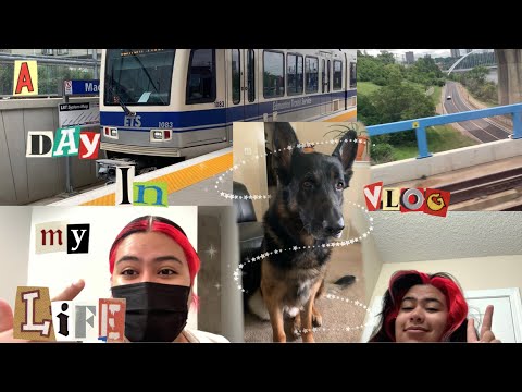Vlog | Day in My Life 06/08/21
