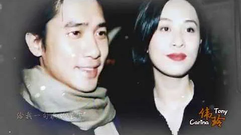 Tony Carina《自梳》mv刘嘉玲梁朝伟  一天一点爱恋     by爱吃香蕉的兔子 明星 娱乐 哔哩哔哩 - DayDayNews