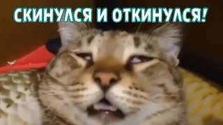 Скинулся И Откинулся!