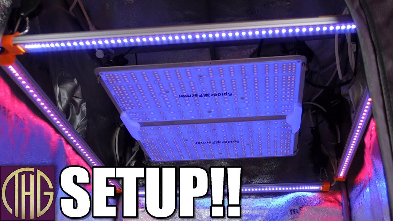 The Grow Tent Is Set Up!! Spider Farmer 28"x28", SF2000 Pro, UV30 + IR16