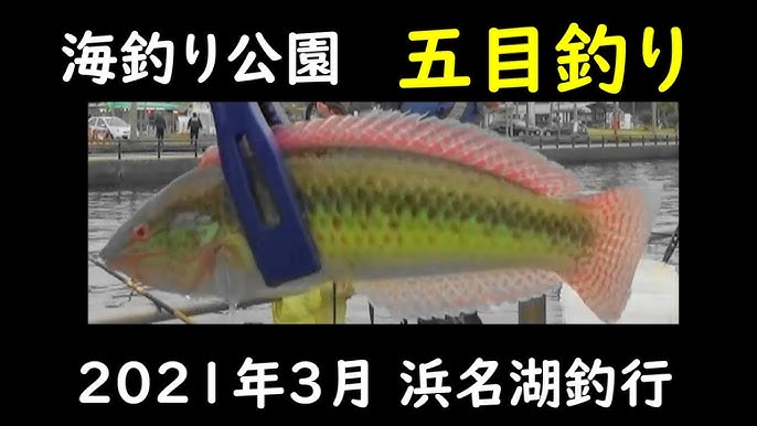 21年3月 浜名湖釣行 五目釣り Youtube