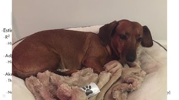 Intro to Multiple Linear Regression /// STAT 3050