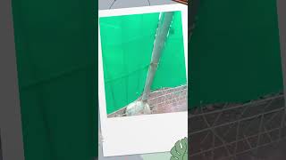 Download Lagu 10 Agustus 2024 MP3