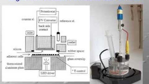 Sensori e Biosensori ( ElbaTech Quartz Crystal Microbalance -QCM)