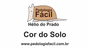Quais os componentes que afetam a cor do solo?