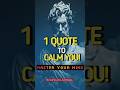 1 Quote Can Calm You #shorts #stoicism #modernstoicism #philosophy #motivation #stoicwisdom #stoic