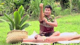 Tahitian origins of Hawaiian breadfruit tapa cloth