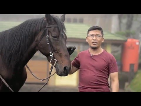 Aa Gym Manfaat Olahraga Sunnah Youtube