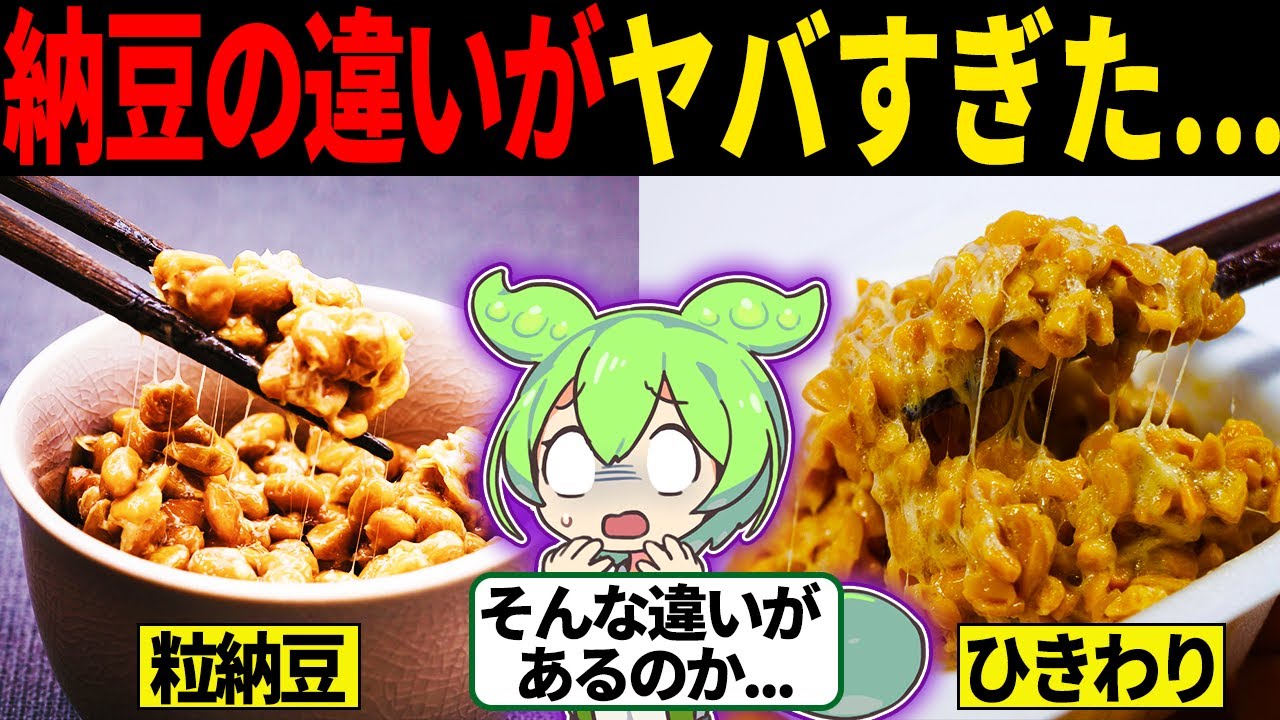 知らないと損！納豆とひきわりの違いについて徹底解説【ずんだもん＆ゆっくり解説】