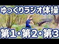 ☆【８分】ゆっくりラジオ体操第１・第２・第３　セントラルパークで【０.８倍速　ナレーションと字幕付き】Japanese Radio Taiso Exercise (x 0.8 speed)