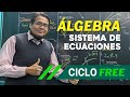 ÁLGEBRA - Sistemas de ecuaciones [CICLO FREE]