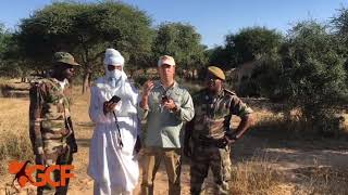 Giraffe Conservation Foundation - West African Giraffe, Niger Update Feb 2020 - French version