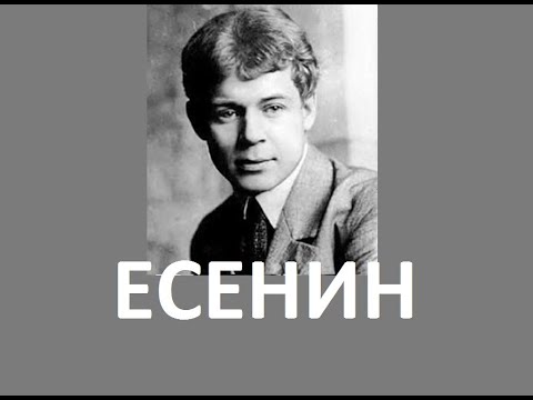 Аудио IX ЕСЕНИН ИЭИ описание типа "СОЦИОНИКА. Психотипы. Тесты" аудиокнига Аушра Аугустинавичюте