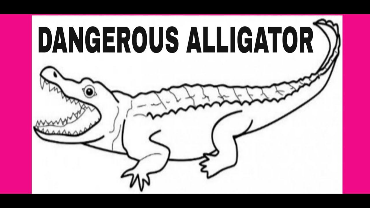 How To Draw Alligator for kids - YouTube