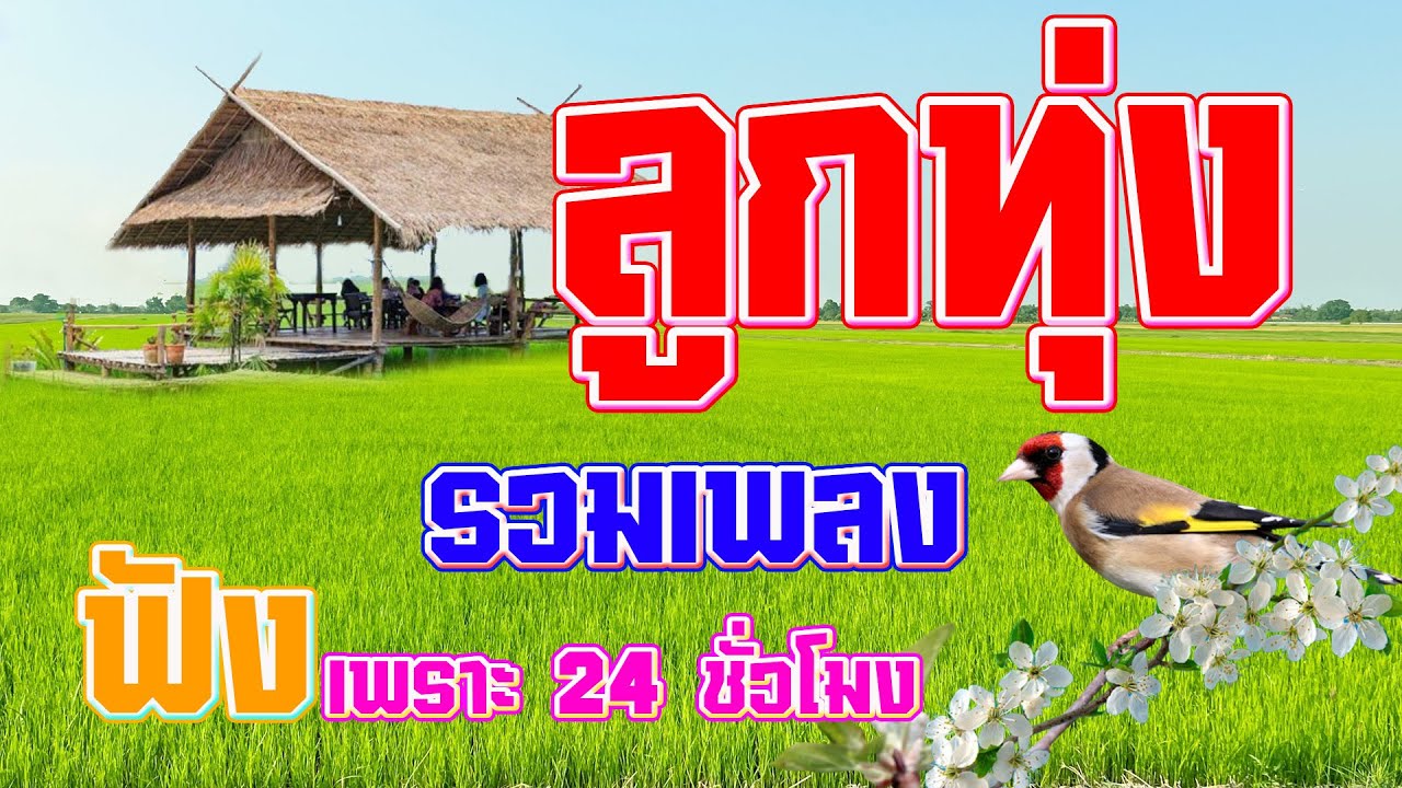 รวมเพลงลูกทุ่งฟังเพราะต่อเนื่อง 24 ชั่วโมง