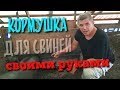 Кормушки для свиней своими руками. Вьетнамские свиньи