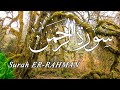 Surah Rahman 3 Times تلاوة هادئة للنوم رعد الكردي سورة الرحمن بصوت جميل جدا جدا 