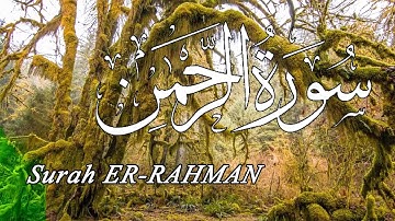 Surah Rahman 3 times 🤲  تلاوة هادئة للنوم رعد الكردي💚  سورة الرحمن بصوت جميل جدا جدا