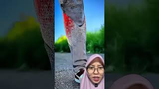 Berubah Jadi IRONMAN ‼️