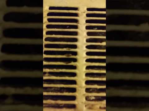 Mold infested air unit in apartment at