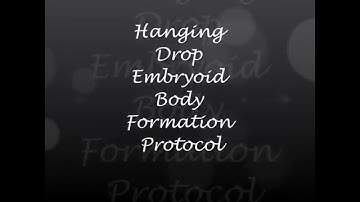 Hanging Drop  Embryoid Body Protocol