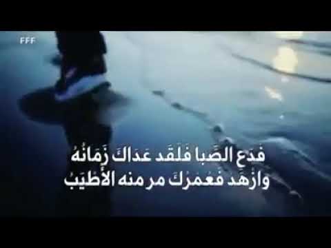 عزالدين رمي شيب 