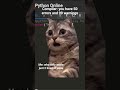 “Me vs the compiler: one typo, 47 emotional breakdowns, and still no semicolon found 💀