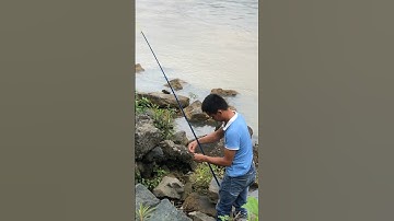 Từ sáng đến giờ em mới bắt được con cá mương này,mùa nước đục khó câu thật.#shorts