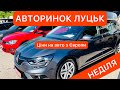 АВТОРИНОК ЛУЦЬК ЦІНИ на АВТО з ЄВРОПИ НЕДІЛЯ 8.08.2021