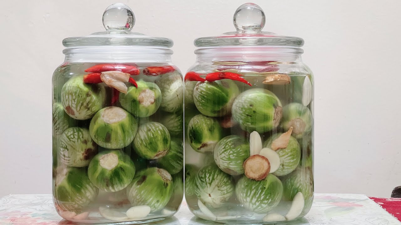 CÀ PHÁO (CÀ THÁI XANH) MUỐI- Cách muối cà pháo truyền thống của người miền  Bắc giòn ngon tuyệt vời.