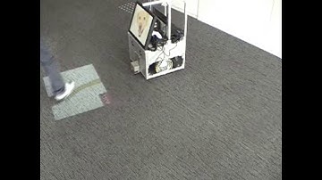 User-Robot Interaction using Step-on Interface (SOI): HFAMRO-3 (1-dog)