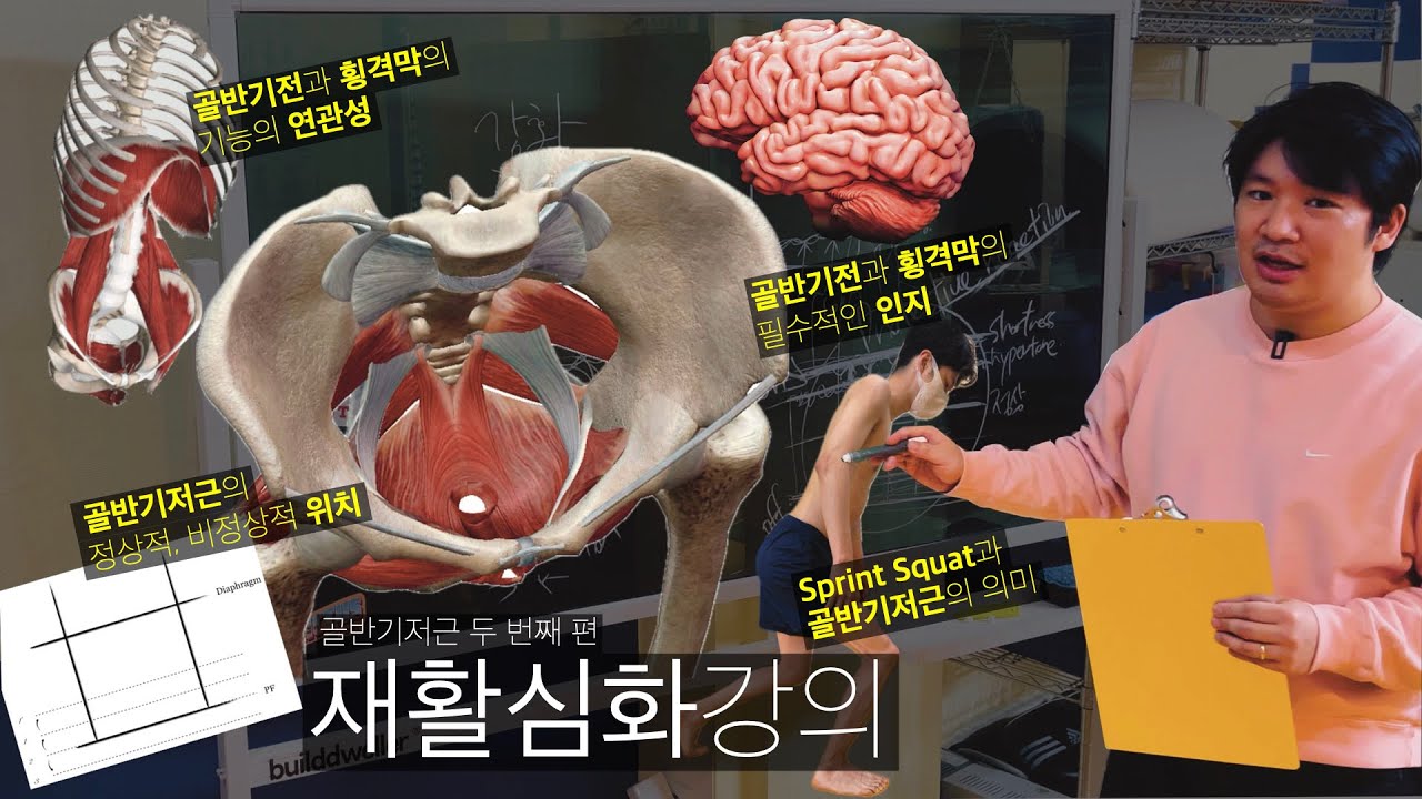 골반기저근 재활심화강의