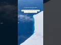 I Know What I Saw At The 14 Sec Mark Antarctica Frozen Icewall Leviathan Iceshelf Icesheet I Know What I Saw At The 14 Sec Mark Antarctica Frozen Icewall Leviathan Iceshelf Icesheet