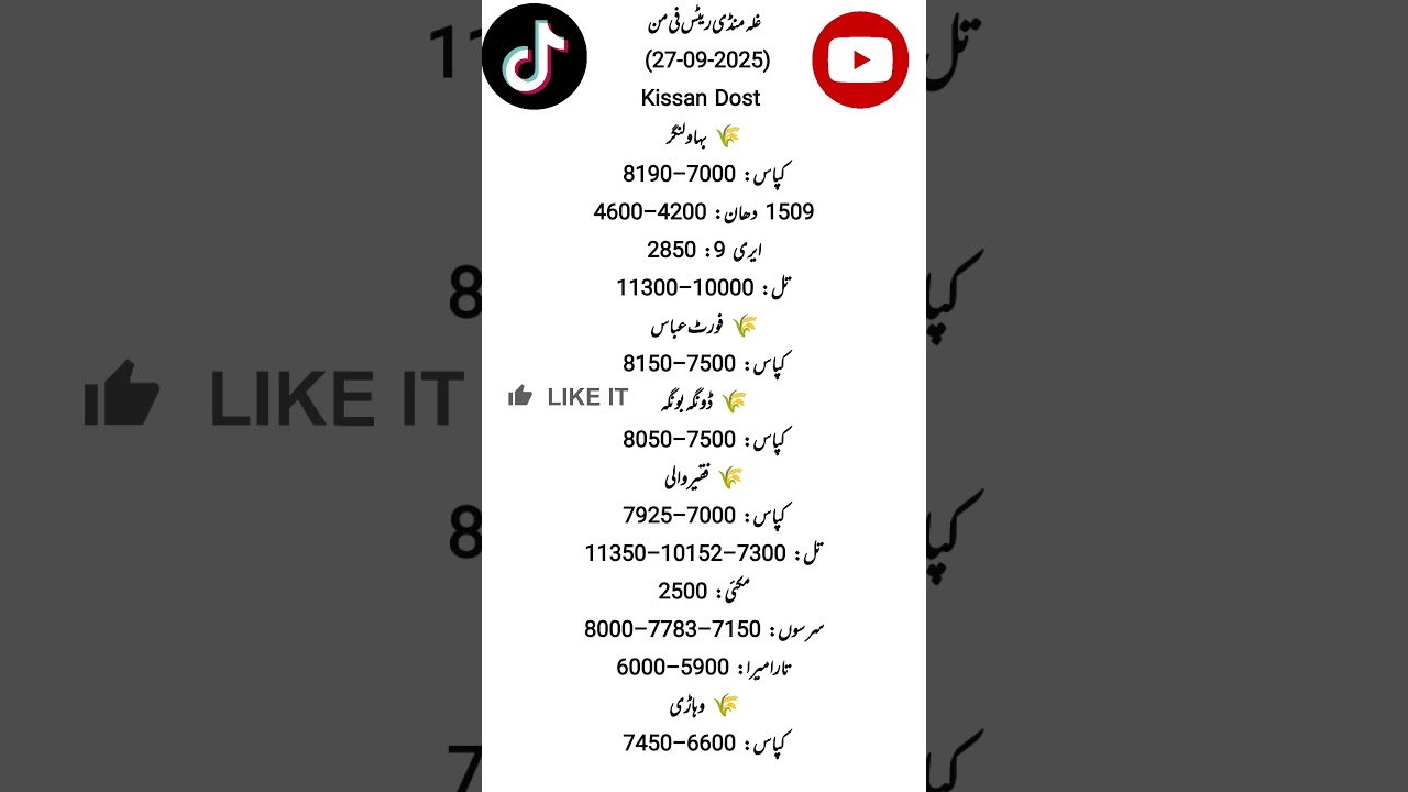 Today grain market rates.