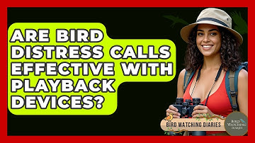 Are Bird Distress Calls Effective With Playback Devices? - Bird Watching Diaries