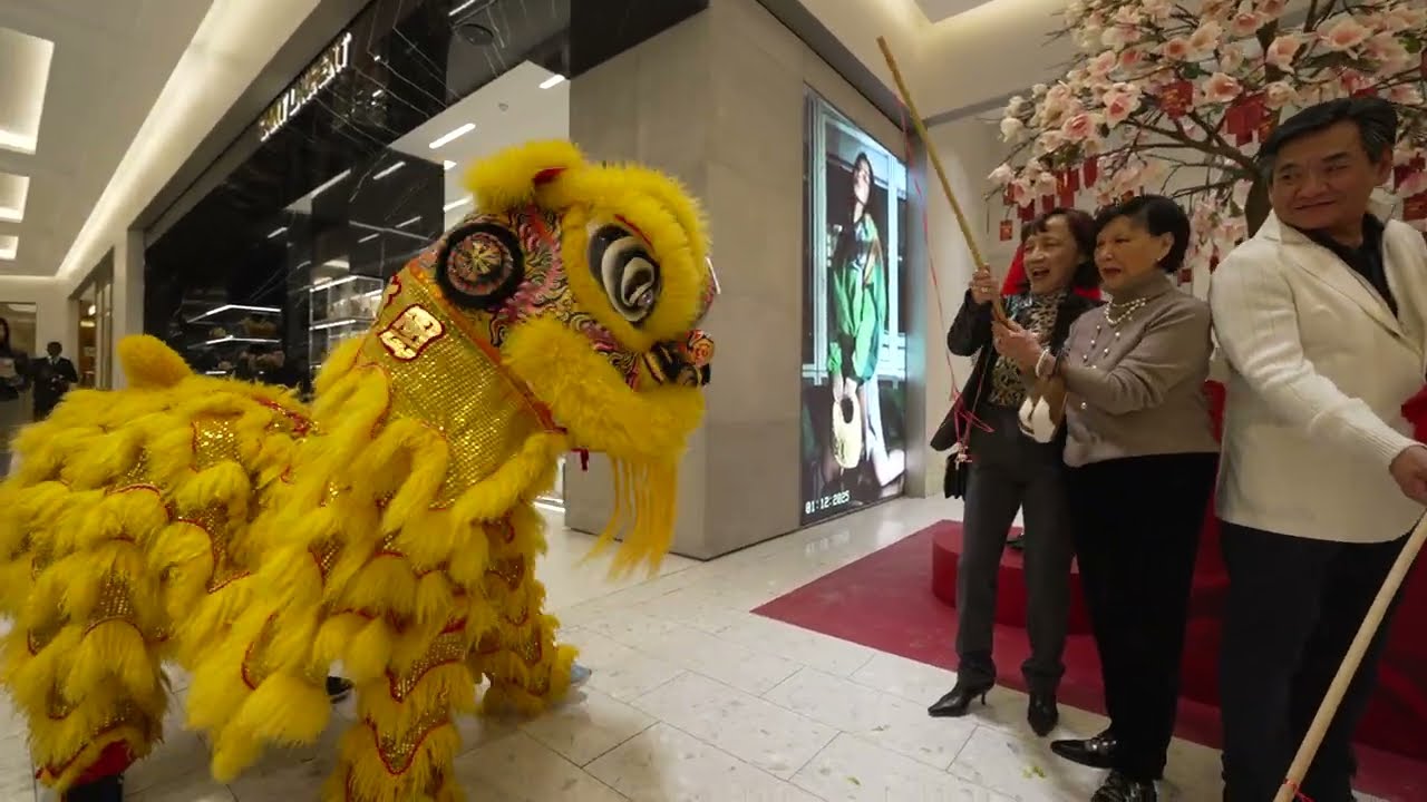 A lovely Lion Dance evening 2/2